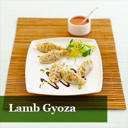 Lamb Gyoza